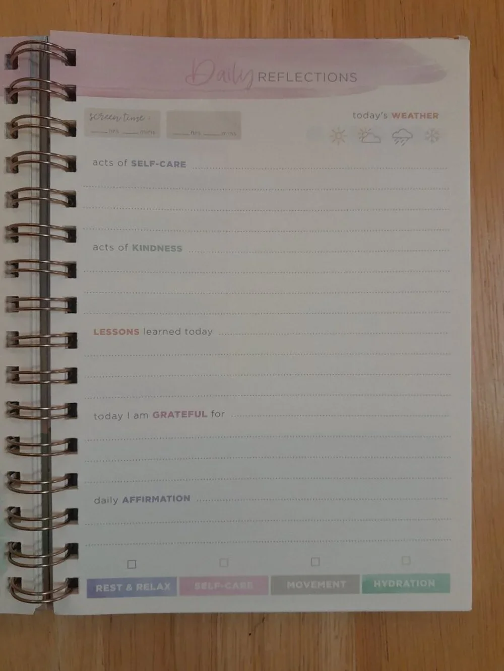 Wellness Journal by Clementine Paper Inc